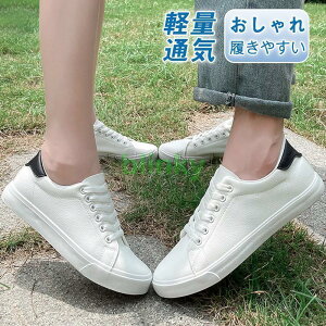 Xj[J[ Y fB[X jp JWA n ʊw ʋ ItBX  ʋC y AE^[ ₷ ɂȂ 