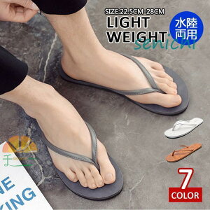 T_ fB[X V[Y Y  C i r[`T_  y r ₷ Ȃ 