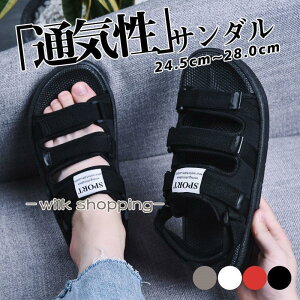 T_ Y r[`T_ X|[cT_ V[Y ʋC y ~  amp ^ j C C  ނ EH[^[V[Y