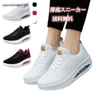 p 40 fB[X ɂ C Xj[J[ ₷  _CGbgV[Y r y i[XV[Y D^  5cm EH[LOV[