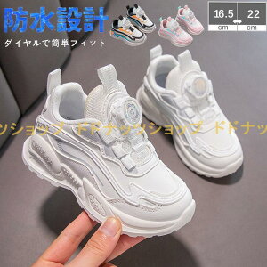 qC Xj[J[ J̓S _C ^ ̎qp h LbY WjA q ^C  ^ ʊw