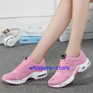 Xj[J[ Y fB[X  Ռz ʊw L ʊwC w j̎q ̎q w ^C X|[c IV HC