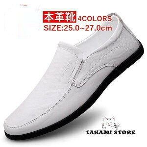 Y hCrOV[Y Xb| [t@[ rWlXV[Y fbLV[Y JWA V[Y JV {v am L Ȃ 