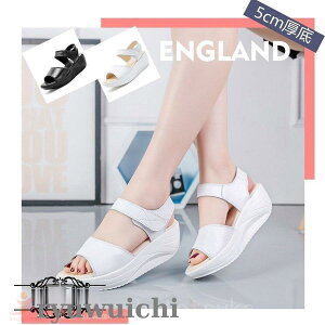 T_fB[X T_₷ T_y D^ i[XV[Y i[XT_ Ȃ _CGbg r