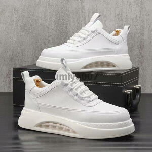 Xj[J[ Y C Xj[J[ EH[LOV[Y JWAV[Y  hCrOV[Y ʊwC