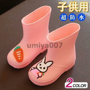 Cu[c LbY LN^[ C J h j̎q ̎q wZ ct q J h ~J΍ 킢 ʊw J̓  JC