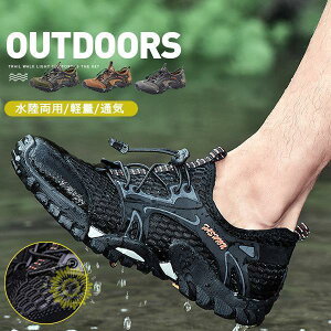 }V[Y EH[^[V[Y r[`V[Y X|[c T_ Y ANAV[Y Ȃ p oR yʒʋC AEghA s   C