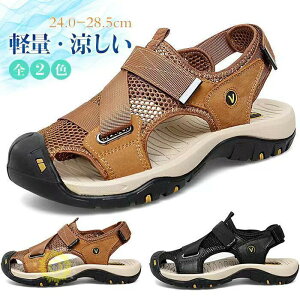 24-28.5 Y T_ 傫TCY    X|[cT_ ܐی AEghA ₷ h  ʋC ϋvQ r[`T_