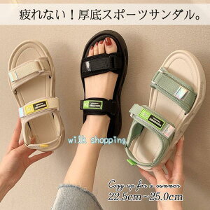  T_ fB[X X|[cT_ Xj[J[T_ 킢 r[`T_ TCY 傫TCY ɂȂ