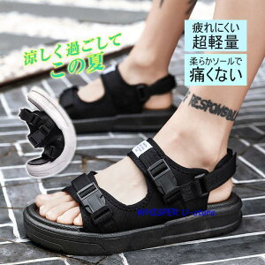 V[Y T_ Y fB[X r[`T_ X|[cT_ ₷ ʋC y ~  ^ C ނ