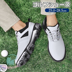 StV[Y Y Stp Xj[J[ jOV[Y EH[LOV[Y H ɂ y oR AEghA ^C ~