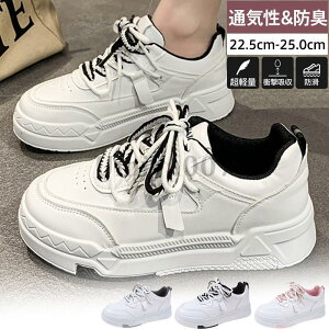 Xj[J[ fB[X  L [Jbg gAbv ʋC y ₷ jO EH[LO Ȃ JWA w 