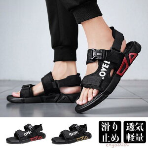 T_ Y X|[cT_ T_  ʋC y r[`T_ ~ amp C