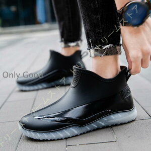 C V[Y Y j Cu[c  h C V[Y JC Jp ~J΍ | 䕗łΉ ʊw ʋ rWlX JWA