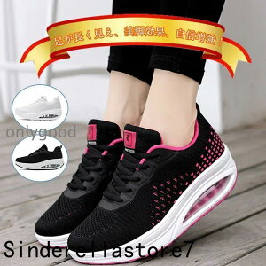 Xj[J[ fB[X i[XV[Y ɂ   _CGbgV[Yp  D^ 5cm EH[LOV[Y ƌC Ōt