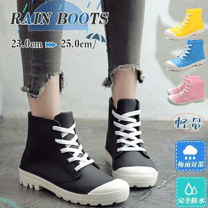 Cu[c fB[X JC Xj[J[ CV[Y V[g ~ ~J JWA AEghA ʋ ʊw Jp  Oo