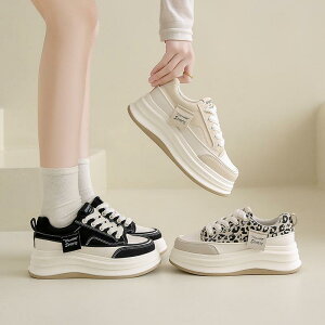 Xj[J[ fB[X C X|[cV[Y V[Y ~ h r r ₷ Ȃ ɂȂ  ʋC Vv ʋ ʊw