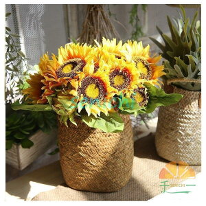  CeA AW DIY ԑ u[P ֑  `[bv JXj Mtg 䋟 ItBX a v[g ԕr z  ސEj