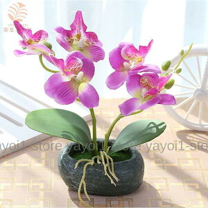  Ӓ R`E  ̓ ~j C~e[V tFCNt[ CeA  IV Y ꂢ  G C