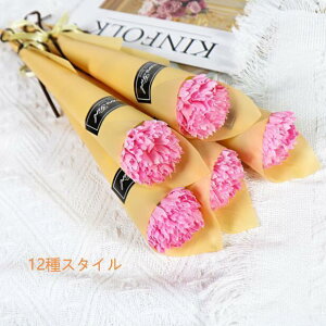 ԑ AWg Mtg v`Mtg o \[vt[ Ό v[g zCgf[ ̓ NX}X  10{Zbg