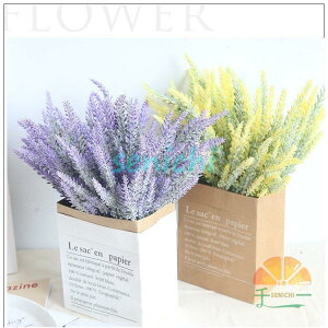  CeA AW DIY ԑ u[P ֑   5{ JXj Mtg 䋟 ItBX a v[g ԕr z  ސEj