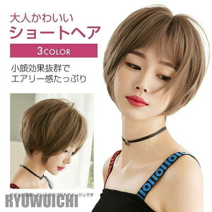 EBbO V[g {u  tEBbO Jc fB[X i` R  lbgt