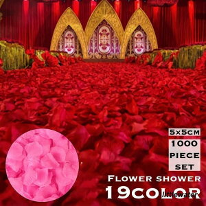 t[V[ Ԃт 1000Zbg    o A[gt[ t[y^ fR[V Ԑ  EGfBO