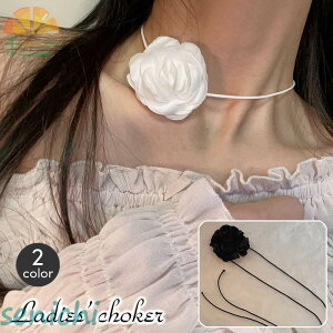 `[J[ fB[X  t[ KN o [Y ANZT[ R Ђ  킢 mg[ VbN tF~j o p[e