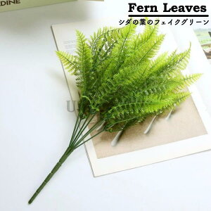 tFCNO[ ~j  lHϗtA  A V_̗t