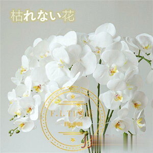 傤  ԑ 8{Zbg A[gt[ t ͂Ȃ u[P ԑ AWg CeA ̓  LO av[g