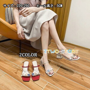 i T_ Y fB[X  傫TCY  jp T_  EFbW\[ W[g NXSxg