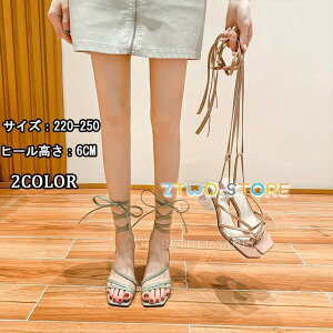 i T_ Y fB[X  傫TCY  jp T_  EFbW\[ W[g NXSxg