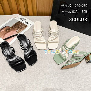 (5.0cmq[) i T_ Y fB[X  傫TCY T_  EFbW\[ W[g NXSxg