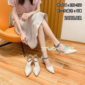 i T_ Y fB[X  傫TCY T_  EFbW\[ W[g NXSxg (6.0cmq[)