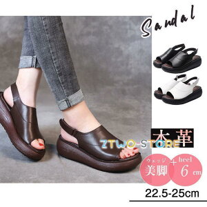 T_ {v _炩 xN fB[X  EFbW EFbW\[ ʋ ₷ V[Y Xgbv  r C RtH[g