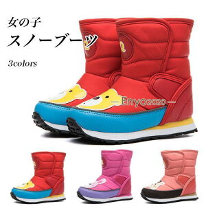 Xm[u[c ̎q Xm[V[Y q  {A u[c h h [gu[c  V ~ qǂ ~ V[gu[c