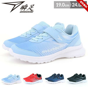 u Xj[J[ V[Y LbY WjA j̎q ̎q 㗚 C q 2E 19cm 20cm 21cm 22cm 23cm 24cm ubN lCr[ bh TbNX CG[ wZ w tďH qC  V
