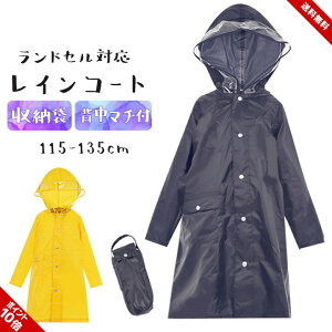 CR[g LbY hZΉ ̎q j̎q ] ʊw 120cm 130cm w  n bNΉ  hZ Jbp J wZ wN 1N 2N 3N AEghA  H 