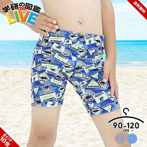 T[tpc XCpc LbY xr[  j̎q 90 100 110 120 V[g {[hV[c  Cpc Cp Cς qp V[gpc w̐}LIVE u[ lCr[ 