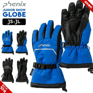 Xm[O[u LbY WjA j̎q JS JM JL  u[ ubN Phenix h z h~[WR[h l[x  XL[ Xm[{[h wZ wZ XL[ O[u tF