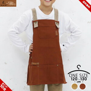 Gv LbY q j̎q ̎q Ԃ邾 120cm 130cm  킢 w wZ ۈ牀 ct w  Vw Gv qp uE x[W h^ K kids up tempo H