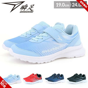 u Xj[J[ V[Y LbY WjA j̎q ̎q 㗚 C q 2E 19cm 20cm 21cm 22cm 23cm 24cm ubN lCr[ bh TbNX CG[ wZ w tďH qC  V