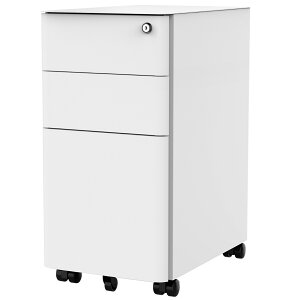 ItBXS Lrlbg XS 3i FlexiSpot CB3 gĕsv X`[S LX^[t t [J[g fXNLrlbg 53cm i TChSS A4 t@C f