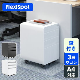 FLEXISPOT フレキシスポット オフィスワゴン キャスター付きオフィスデスクサイドワゴン 3段書類キャビネット 書類ケース 2色