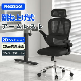 オフィスチェア リクライニング FlexiSpot OC6 デスクチェア 跳ね上げ式アームレスト メッシュ ランバーサポート付 ヘッドレスト付き 肘付き ワークチェア ロッキング機能 人間工学 パソコンチェア ワークチェア おしゃれ ハイバック