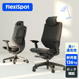 オフィスチェア FlexiSpot BS12 3段階固定 多機能調節 デスクチェア メッシュ リクライニング 肘付き チェア 回転 仕事用 椅子 ハイバックチェア ランバーサポート ヘッドレスト パソコンチェア おしゃれ 背もたれ