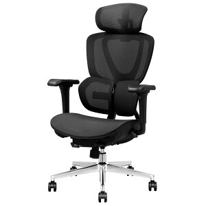 25%offN[|zz 12/18 ItBX`FA FlexiSpot C8 fXN`FA bV w NCjO ̃o[T|[g `FA 3DwbhXg bV`FA 3DA[Xg It