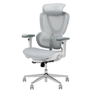 ItBX`FA FlexiSpot C8 fXN`FA bV w NCjO ̃o[T|[g `FA 3DwbhXg bV`FA 3DA[Xg It nCobN`FA ubN 