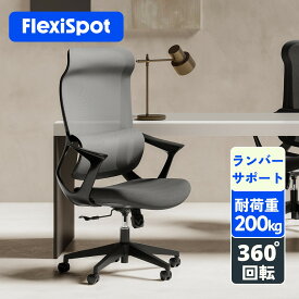 オフィスチェア メッシュ リクライニング FlexiSpot OC16 デスクチェア メッシュチェア ロッキング 肘付き チェア 回転 仕事用 椅子 ハイバックチェア ランバーサポート ヘッドレスト パソコンチェア おしゃれ 背もたれ