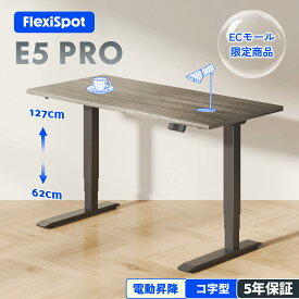 ★20％OFFクーポン配布 9/18迄★ 昇降デスク 電動 デスク 昇降式 【組立設置無料】 Flexispot E5 Pro オフィスデスク 昇降 おしゃれ 在宅ワーク 昇降テーブル 昇降式デスク 高さ調節 電動昇降デスク スタンディングデスク パソコンデスク テレワーク 幅120 140 160 180